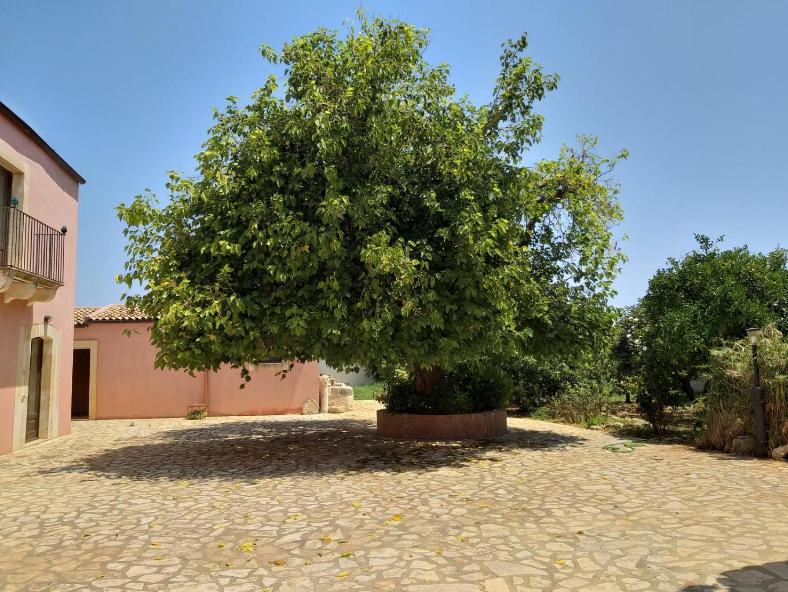 Antica Gebbia Guest House Syracuse Bagian luar foto